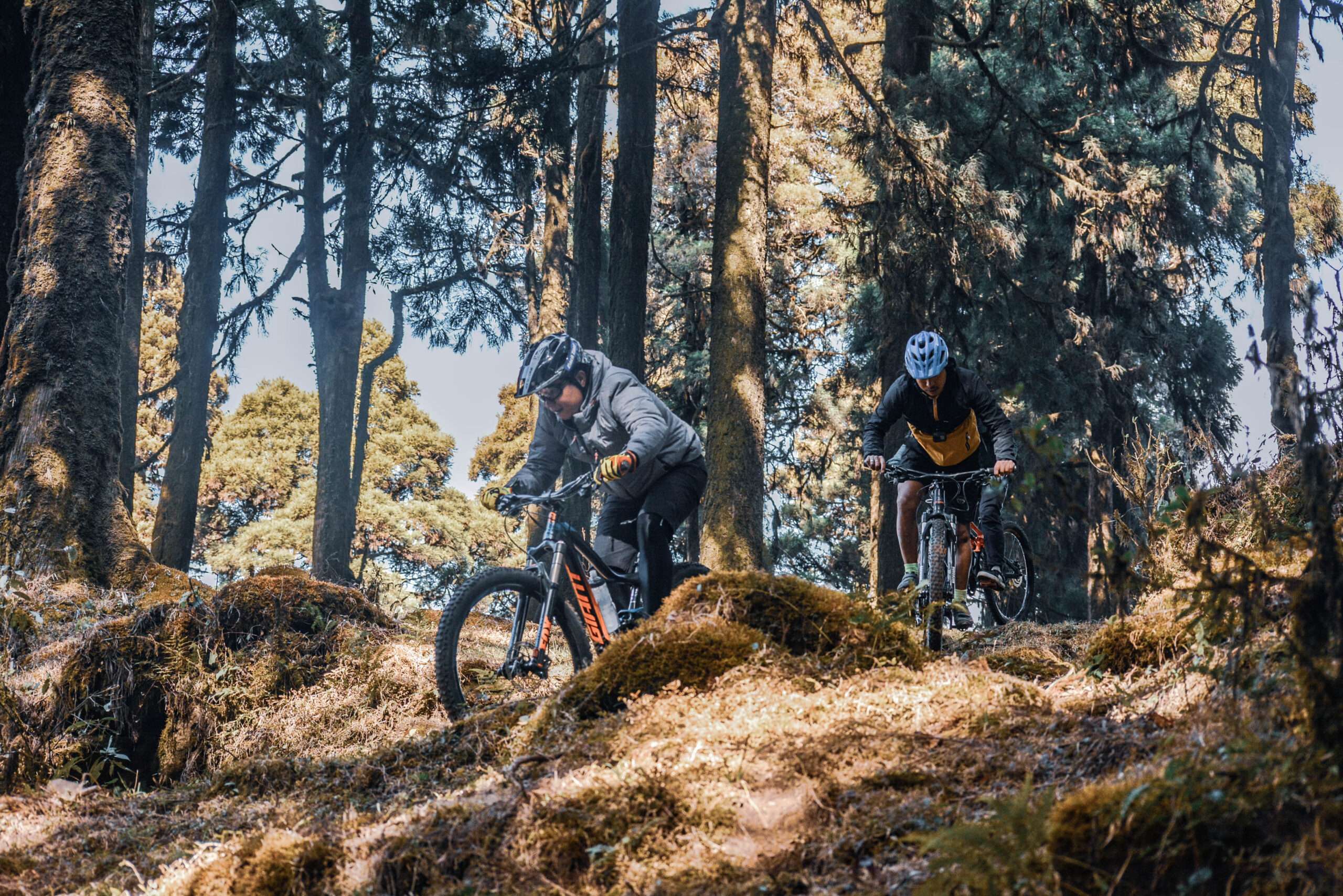 Mountain Bike Tours in Darjeeling